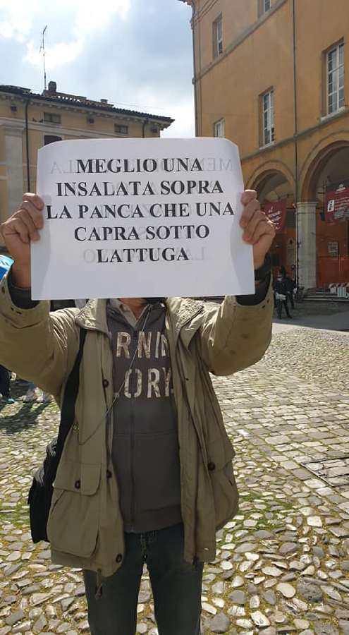 175669856 3878911198882943 3432579145167961158 n