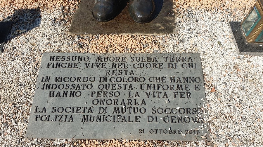 241733432 4289349127839146 9213806637833834351 n