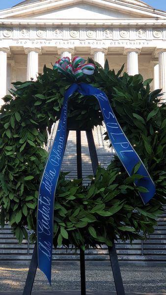 241785937 4289332241174168 9194133897807318273 n