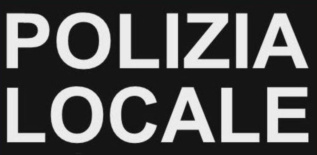 271888669 4695408647233190 1794174195965189297 n