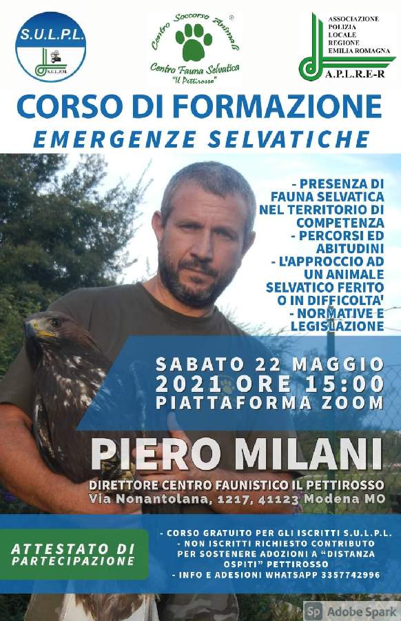 FB IMG 1618469544155