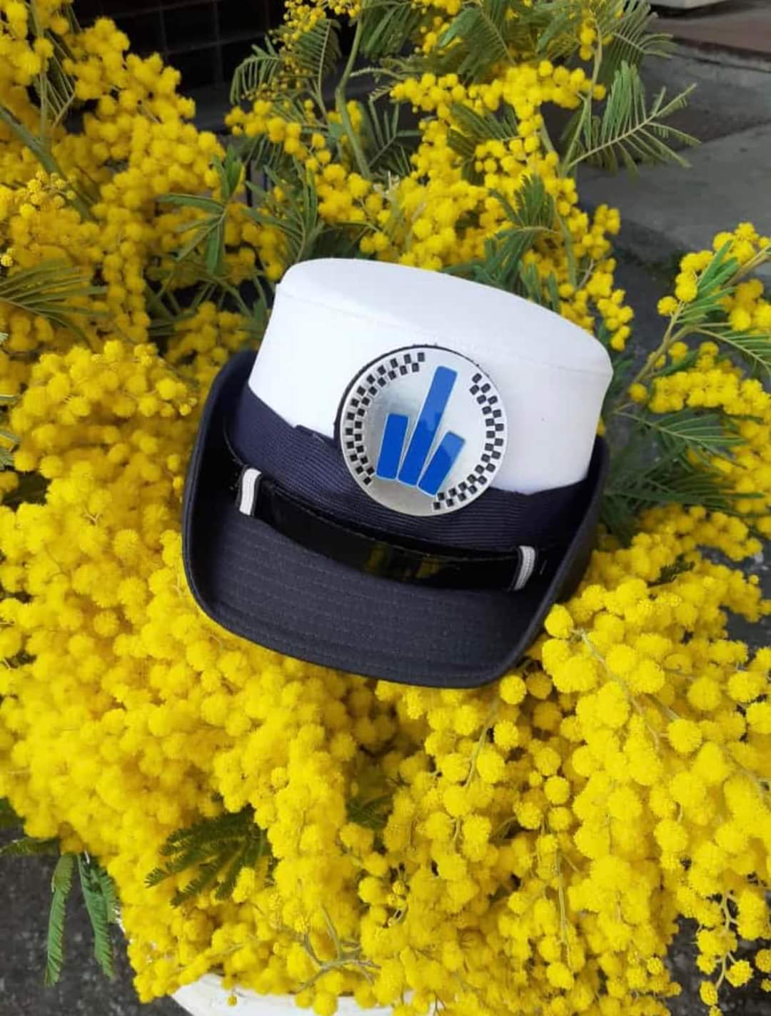 FB IMG 1646722184476