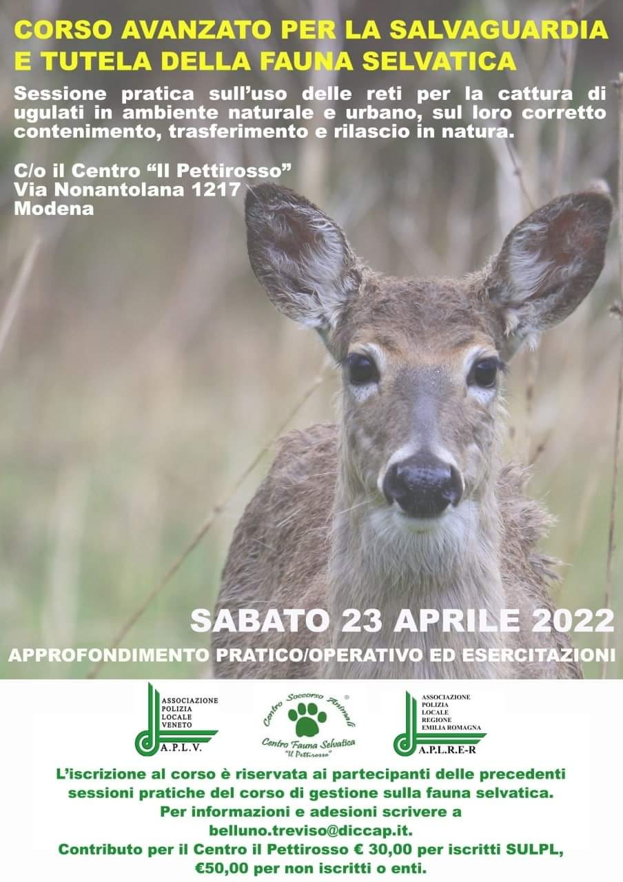 FB IMG 1648670118675