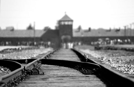 Foto della giornata della memoria