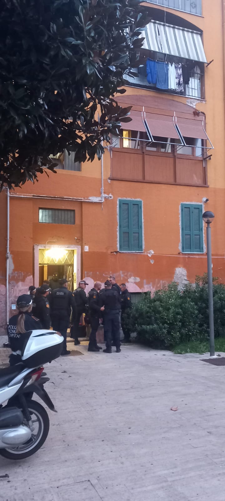 Immagine WhatsApp 2025 10 24 ore 08.26.50 306b1a2a