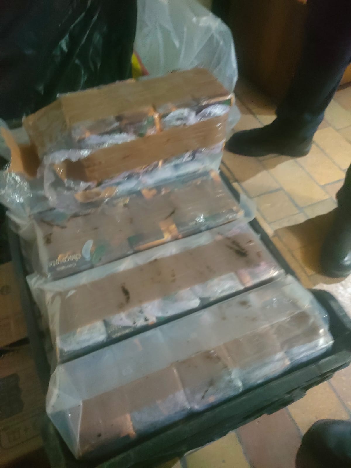 Immagine WhatsApp 2025 10 27 ore 09.44.55 c966343c