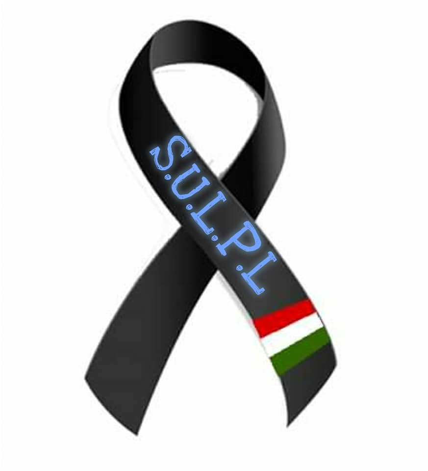 LUTTO SULPL TRICOLORE