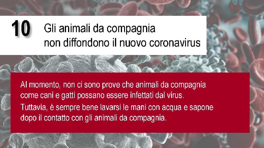 PIEGHEVOLE CORONAVIRUS.pdf.pdf.pdf.pdf page 014