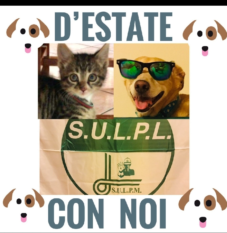 Screenshot 20200730 114559 WhatsApp