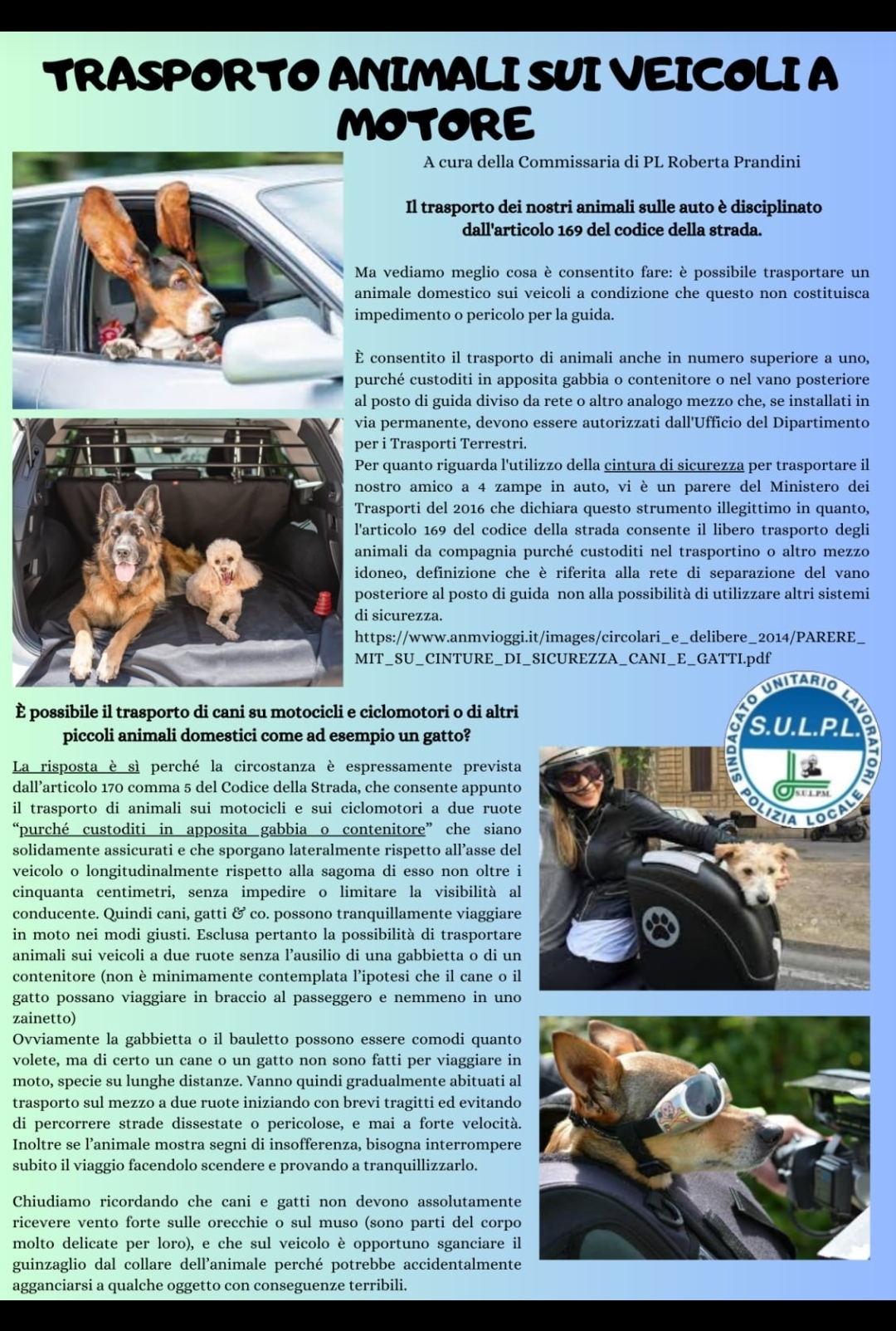 Screenshot 20230718 122407 WhatsApp