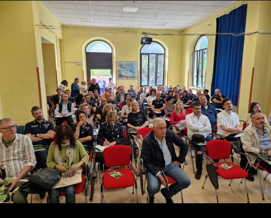 Screenshot 20240520 131013 WhatsApp