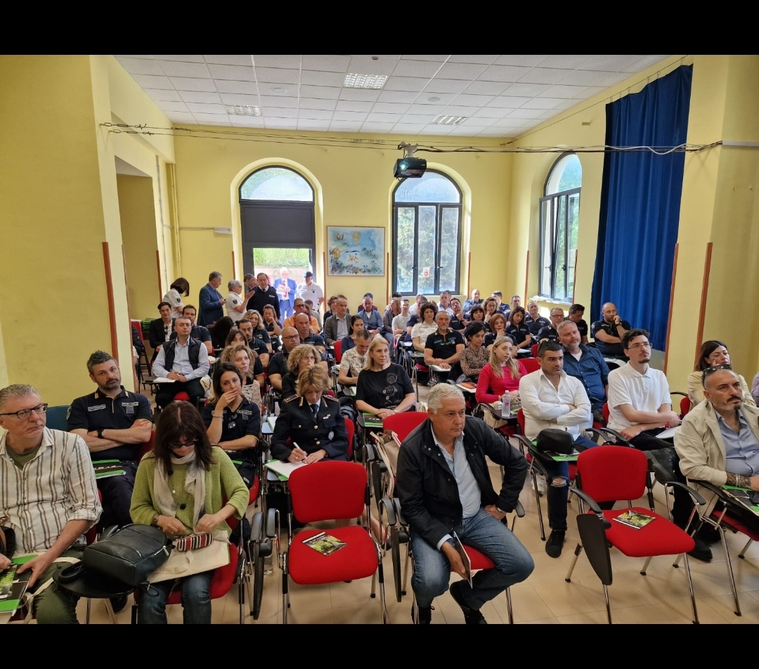 Screenshot 20240520 131302 WhatsApp