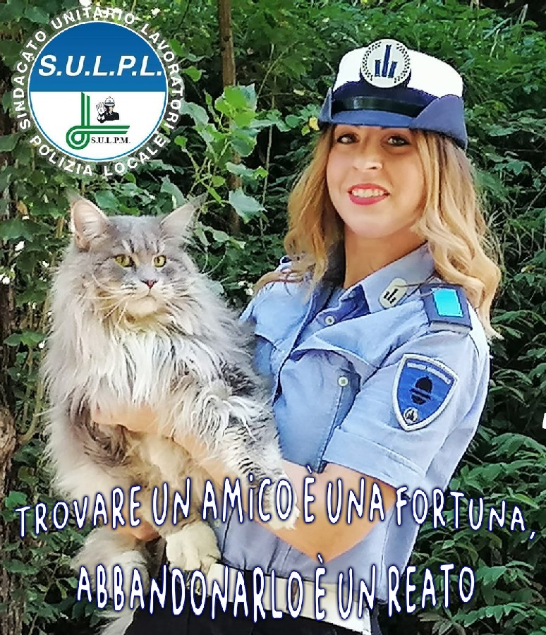 ebda1da6 074a 4b08 b819 d342eb33cf6e